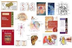 The biological study of all the functions of a living organism or any