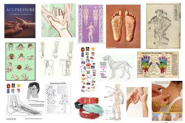 acupressure66549.jpg