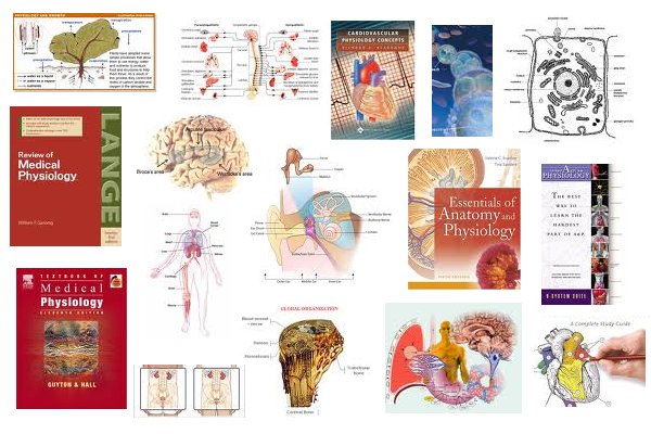 physiology79359.jpg